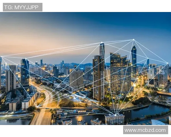 泽勒的崛起与挑战：探索其在现代社会中的影响与未来发展方向