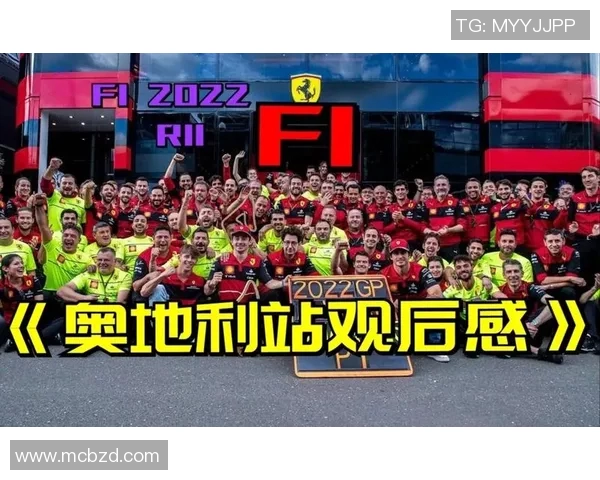 奥地利与德国精彩对决直播全程回顾与分析 奥地利与德国精彩对决直播全程回顾与分析