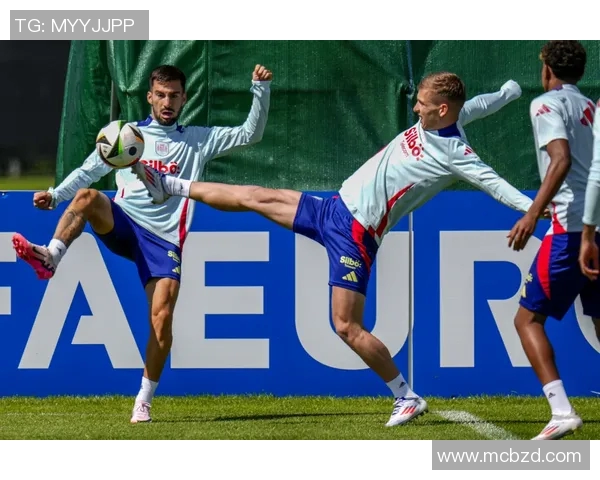 欧洲杯：白俄罗斯队憾负告别赛场