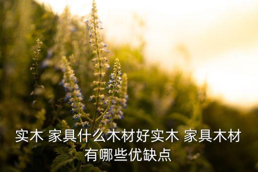 家具首选(图2)